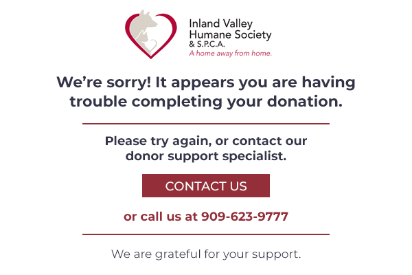 Contact our donor support specialist