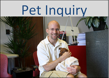 Pet Inquiry.png