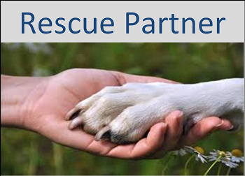 Rescue Partner.png