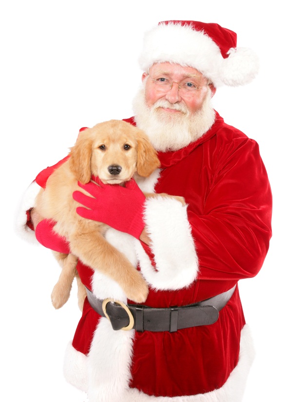 Santa and lab.jpg