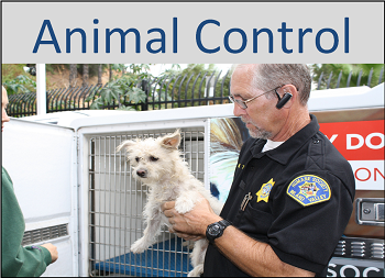 animal control.png