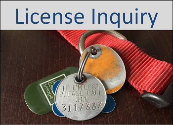 license inquiry.dib