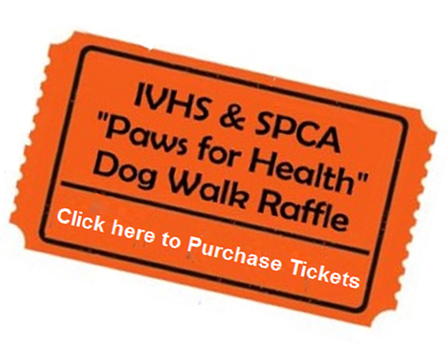 raffle ticket.png