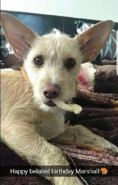 ***LOST - CHINO HILLS***