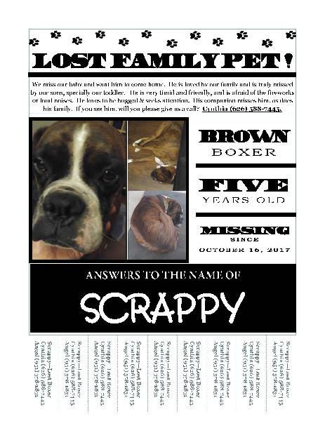 Lost Family Pet - Scrappy