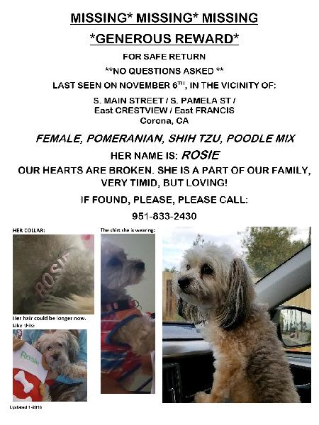 My Little Girl ROSIE is missing!