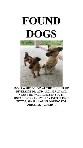 FOUND 2 DOGS