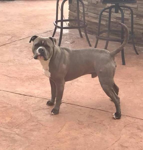 ***FOUND - CHINO HILLS - CARBON CANYON***