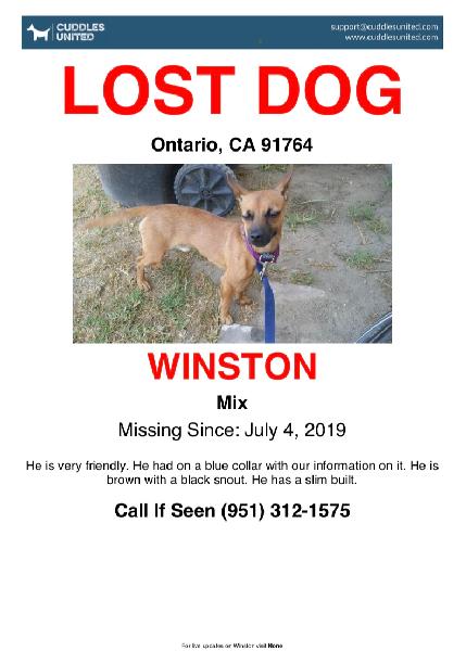 Winston Missing