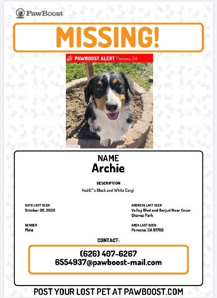 Please bring Archie home. 