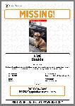 Missing Chihuahua