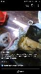 EX GF GETS REVENGE WITH DOG
