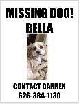 Missing Dog from Chino
