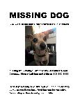 Hashbrown Missing