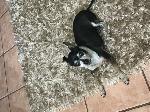 Lost Family Member