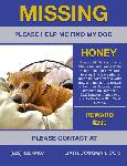 Bring Honey Home