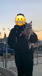 Missing dog
