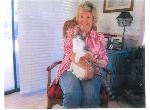Lost cat in La Verne
