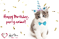 eCard - 01 - Birthday Cat